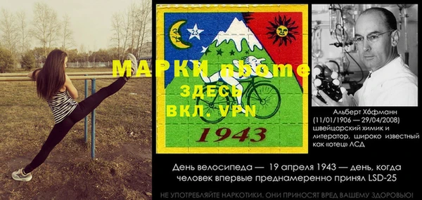 гидра Алексин