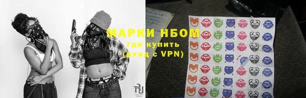 гидра Алексин