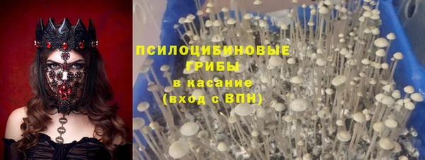 прущие грибы Алзамай