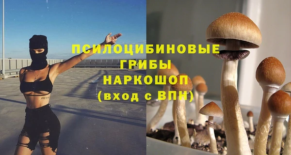 гидра Алексин