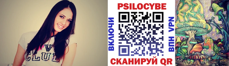 Купить где Гвардейск Псилоцибиновые грибы мухоморы