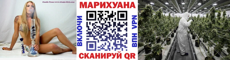Каннабис VHQ  Купить где  Гвардейск 